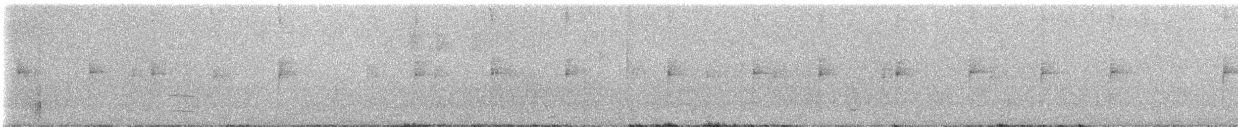 Northern Waterthrush - ML647812605