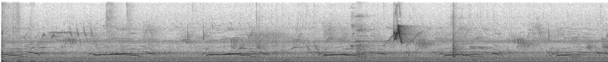 Lesser Fish-Eagle - ML647812760