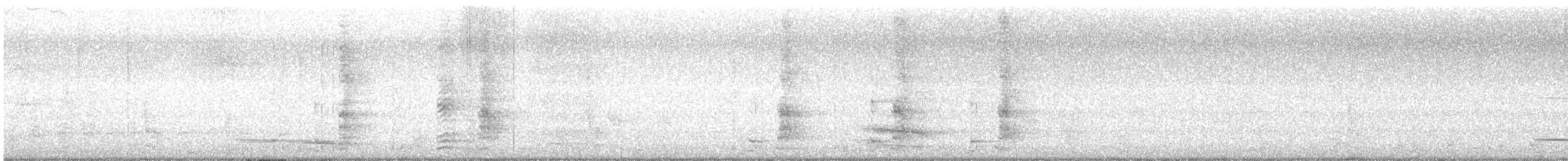 Little Wattlebird - ML647812791