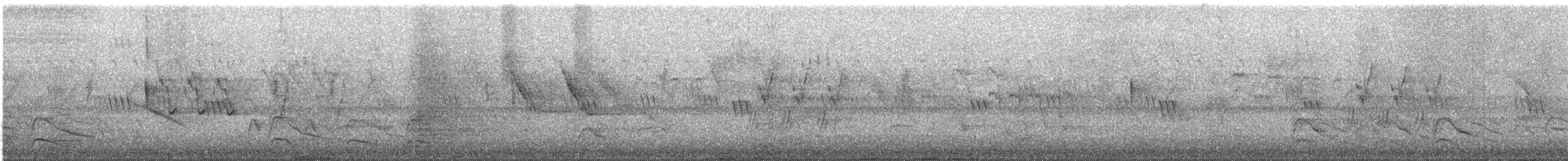 River Tern - ML647812929