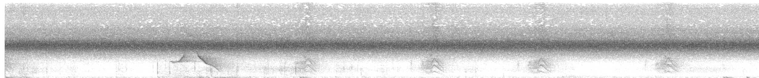 Black-faced Monarch - ML647813054