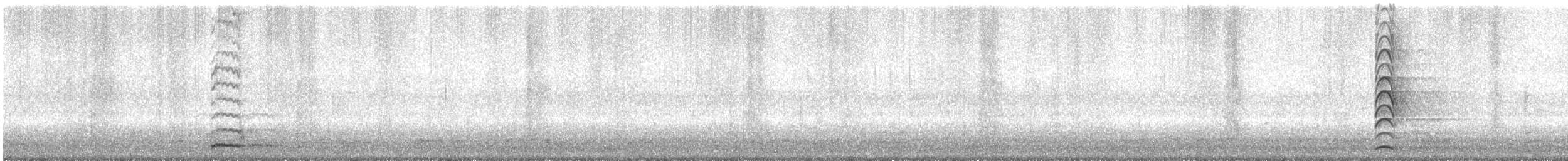 Eurasian Moorhen - ML647813153