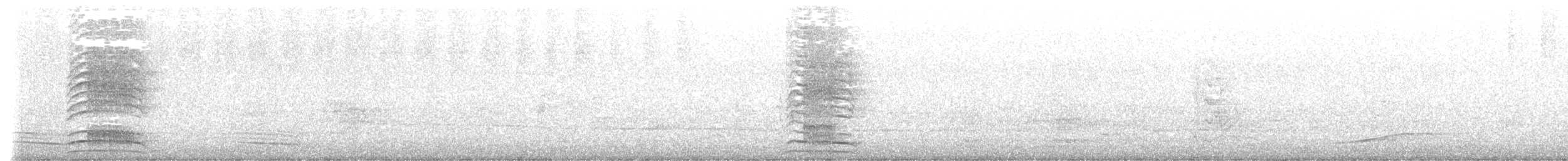 Channel-billed Cuckoo - ML647813306