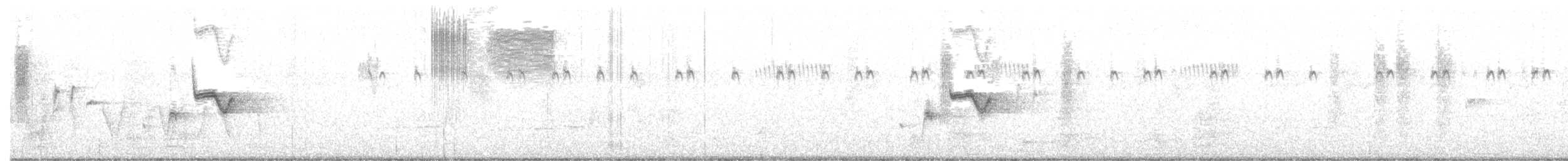 Eastern Bristlebird - ML647813666