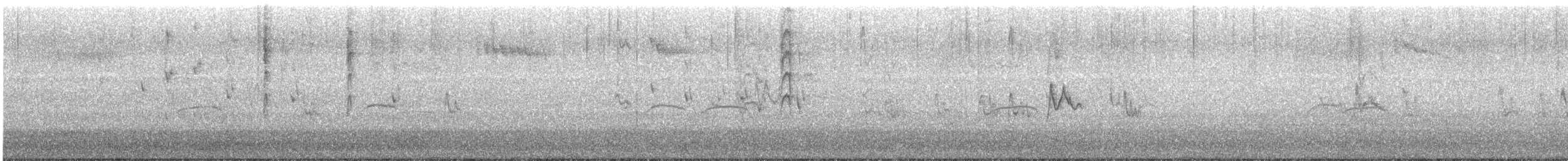 Серебряная белоглазка - ML647814740