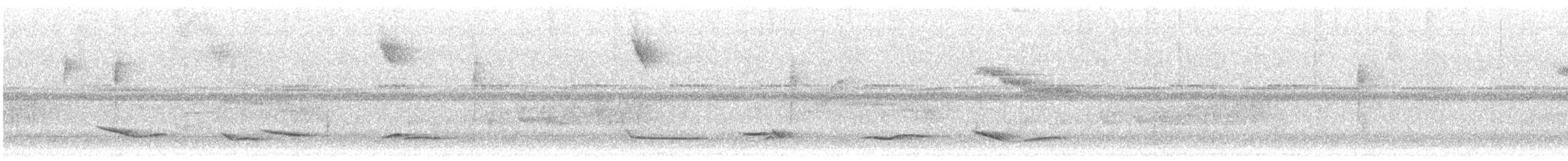 White-necked Thrush - ML647815049