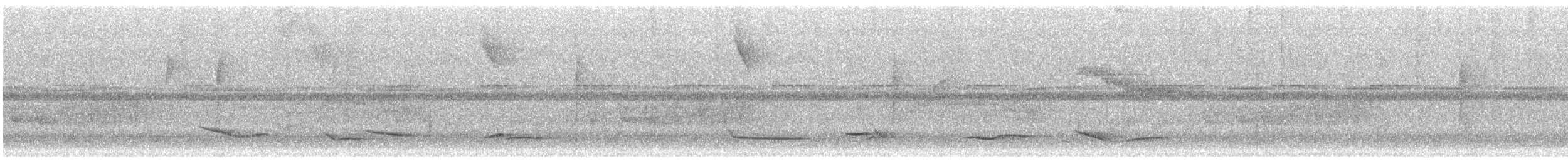 Bindenwaldsänger - ML647815087