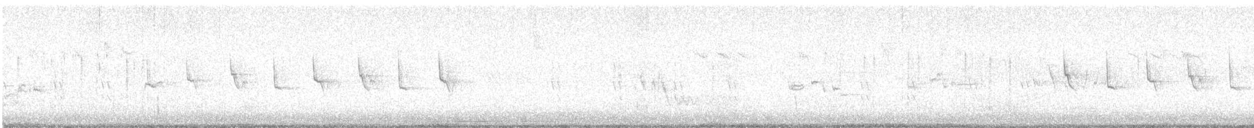 Zilpzalp [collybita-Gruppe] - ML647815262