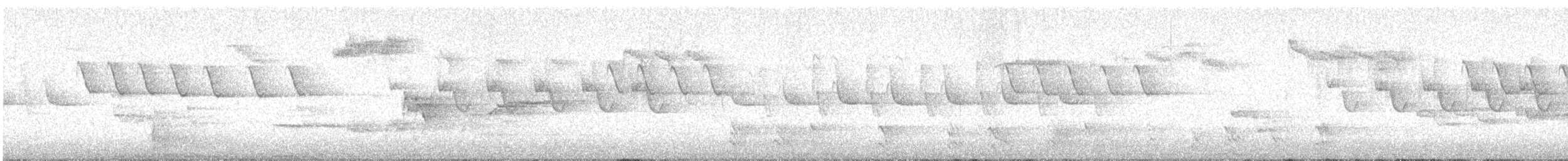 Tannenmeise (britannicus/hibernicus) - ML647815304