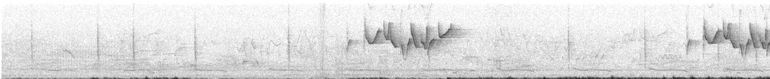 Graukopf-Laubsänger - ML647815375