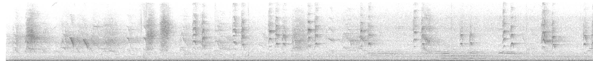 Ashy Drongo - ML647816274