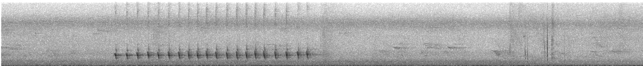 Lewin's Honeyeater - ML647816287
