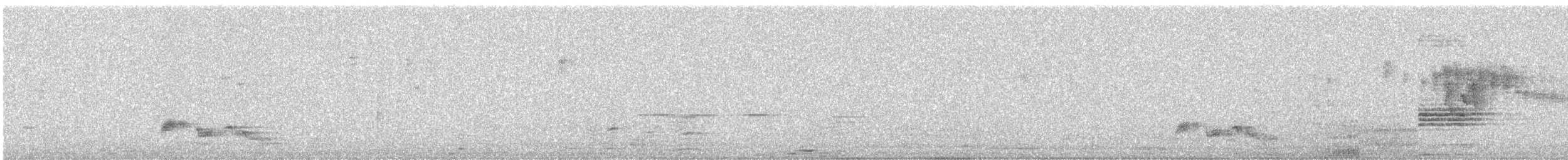 Purple Sunbird - ML647816381