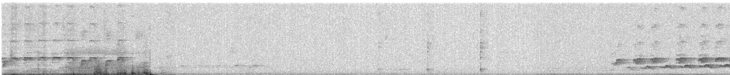 Asian Koel - ML647816417