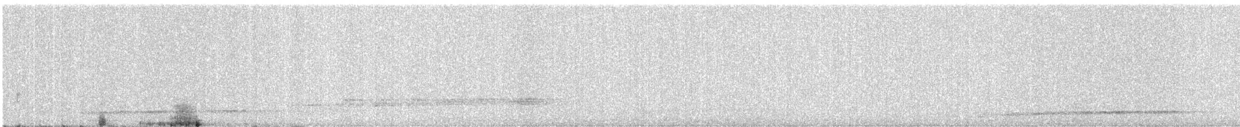 Asian Koel - ML647816499