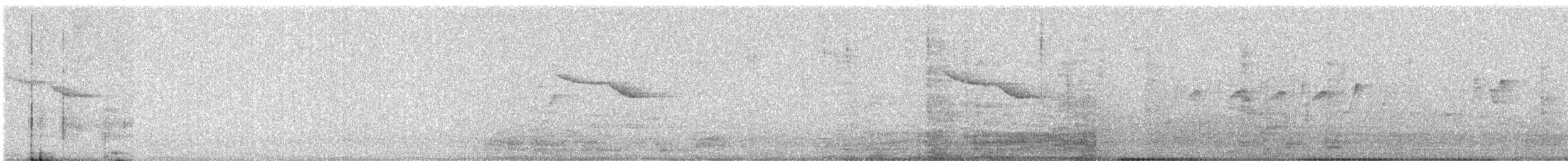 Oriental Magpie-Robin - ML647816523