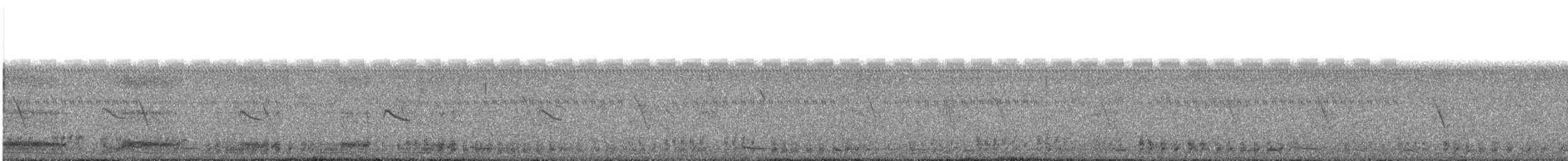 White-breasted Waterhen - ML647816547