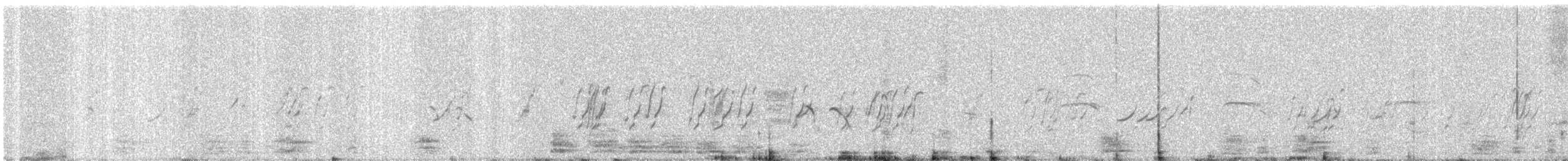 Plum-headed Parakeet - ML647816558