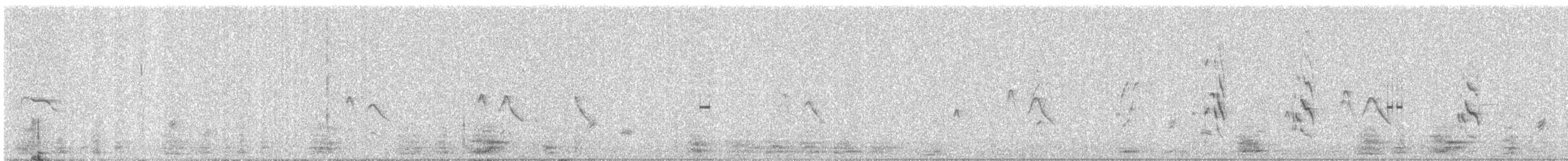 Plum-headed Parakeet - ML647816565