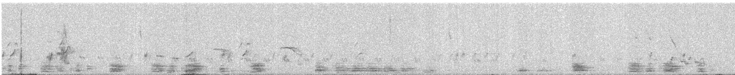 Plum-headed Parakeet - ML647816567