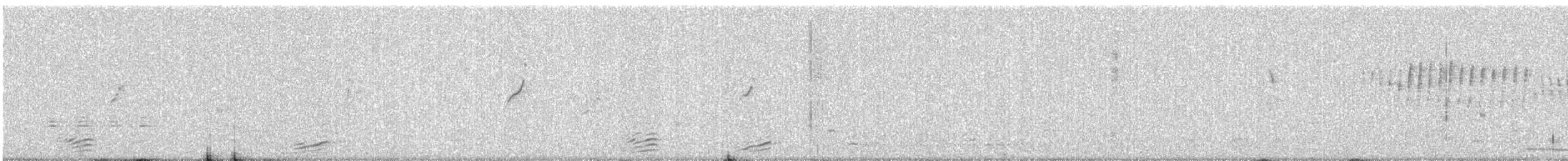 Ruddy Shelduck - ML647816613