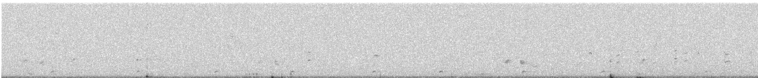 Black-winged Kite - ML647816643