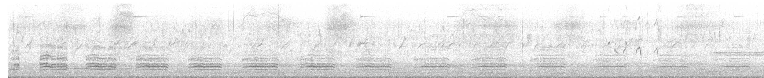 Red-naped Ibis - ML647816656