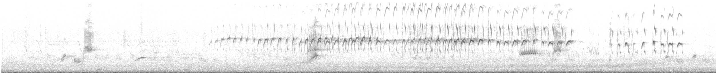 Common Sandpiper - ML647816662