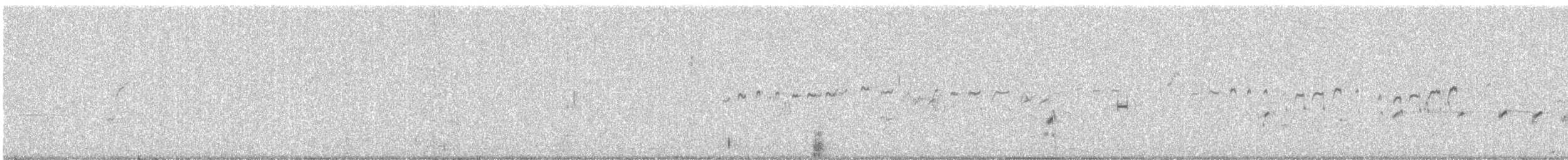 Common Sandpiper - ML647816665