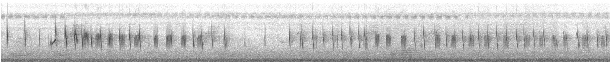 Plain Prinia - ML647816894