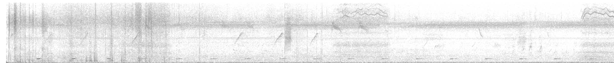 Coppersmith Barbet - ML647816933