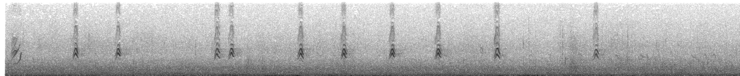 House Finch - ML647817028