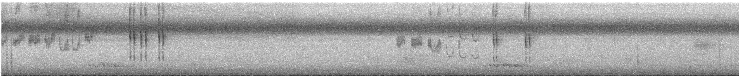 Variegated Fairywren - ML647817032