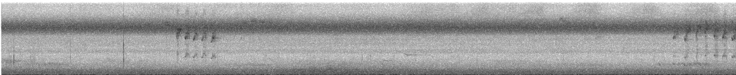 Variegated Fairywren - ML647817081