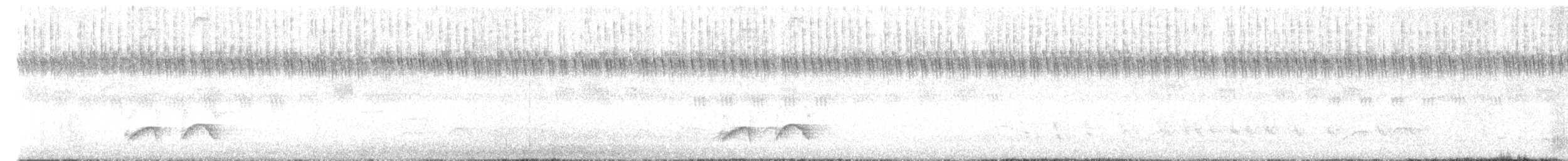 Ornate Pitta - ML647817325