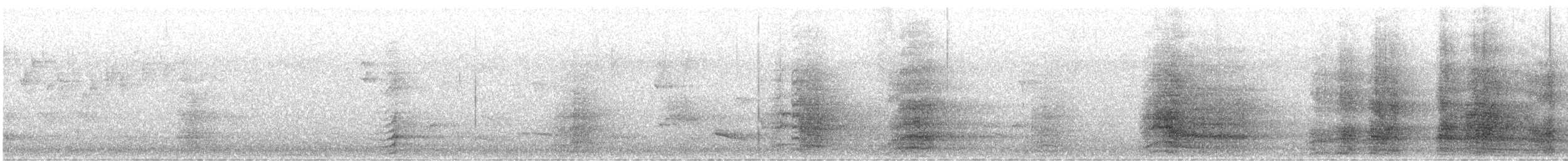 Sulphur-crested Cockatoo - ML647817687