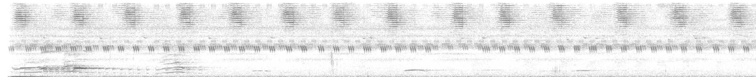 Rinjani Scops-Owl - ML647817828