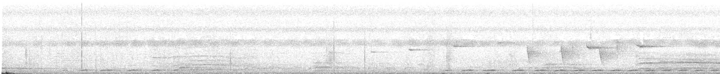 White-eared Brown-Dove (Buff-eared) - ML647817903