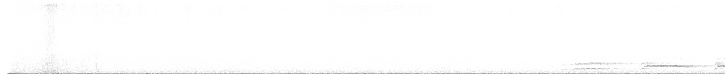 Common Loon - ML647818574