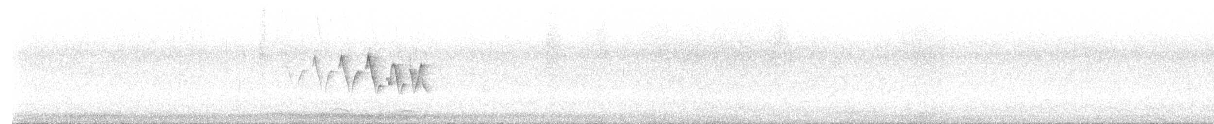 Пісняр-лісовик канадський - ML647818821