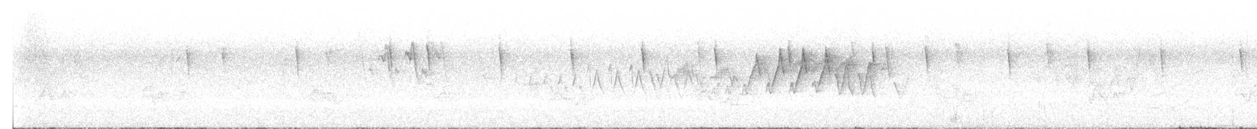 סבכון חכלילי - ML647818979