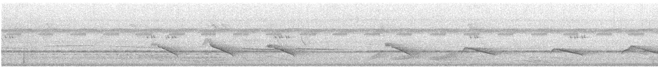 Blue Cuckooshrike - ML647820754