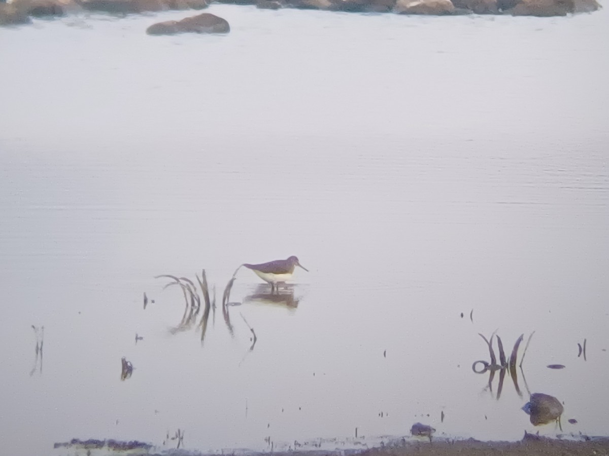 Andarríos Grande - ML647821471