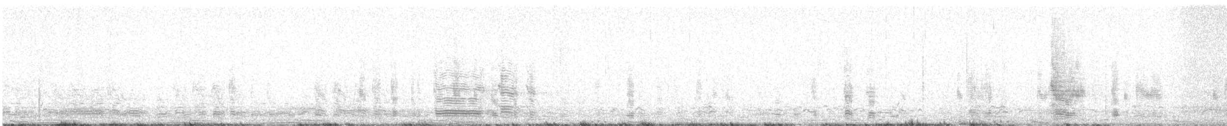 灰雁 - ML647821766