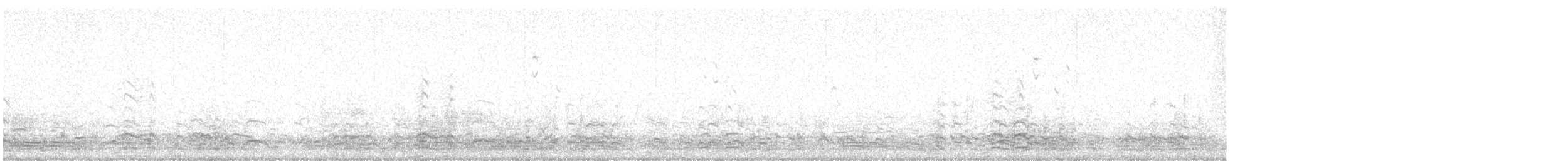 白額雁 - ML647821770