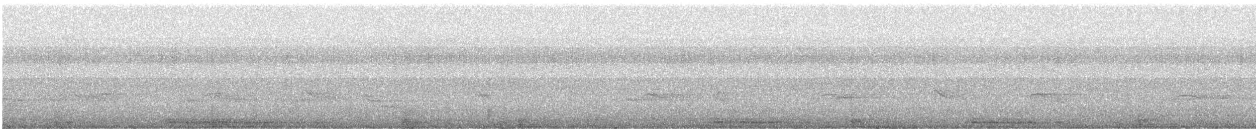 Austral Pygmy-Owl - ML647821881