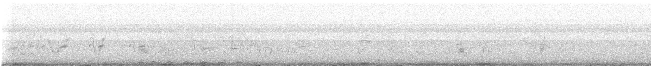 Plumbeous Rail - ML647821961