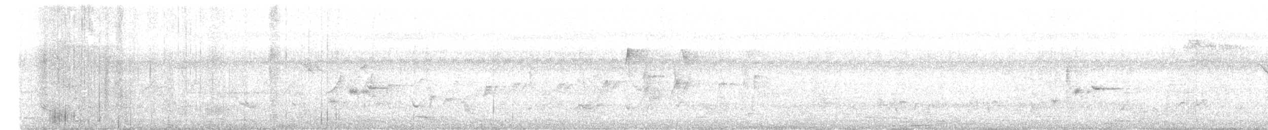 Black-headed Cuckooshrike - ML647822328