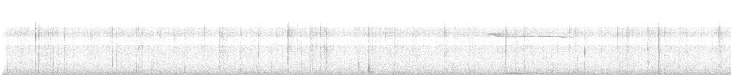 Barred Fruiteater - ML647822644