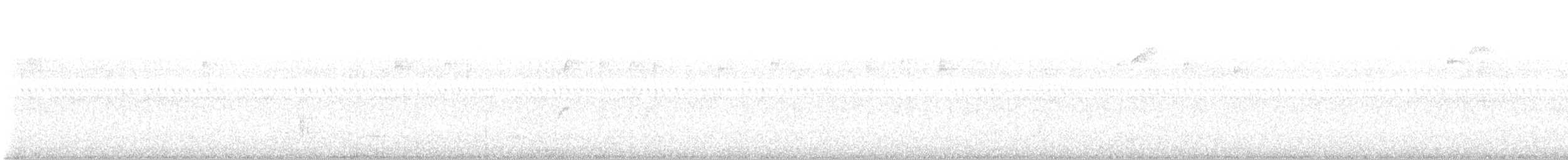 Variable Antshrike - ML647822777